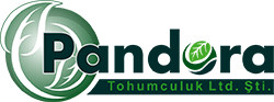 Pandora Tohumculuk